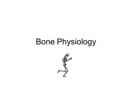 Bone Physiology.