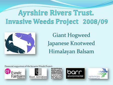 Giant Hogweed Japanese Knotweed Himalayan Balsam Financial supporters of the Invasive Weeds Project.