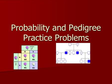 Probability and Pedigree Practice Problems. Practice 1. We will review the questions on pp. 1-4-through-1-5 1. We will review the questions on pp. 1-4-through-1-5.