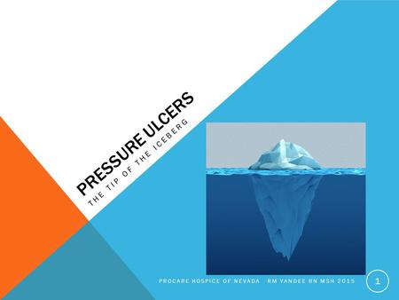 PRESSURE ULCERS THE TIP OF THE ICEBERG PROCARE HOSPICE OF NEVADA RM VANDEE RN MSN 2015 1.