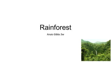 Rainforest Anais Gibbs 3w. The biggest Rainforest in the World The biggest Rainforest in the world is the Amazon. It is in South America. It has 2 and.
