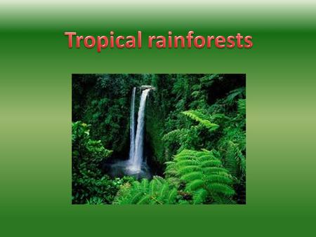 A rainforest is a wet and damp forest which normally by The equator.