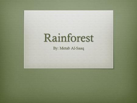 Rainforest By: Metab Al-Saaq. Where is it found?