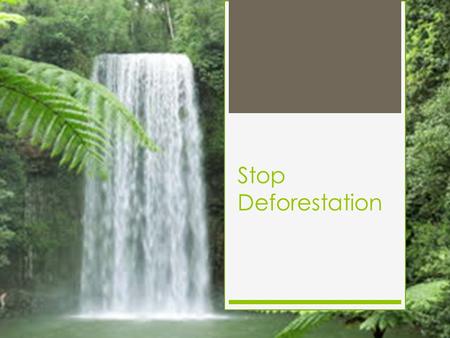 Stop Deforestation. What is deforestation Deforestation is the permanent destruction of forests in order to make the land available for other uses. An.
