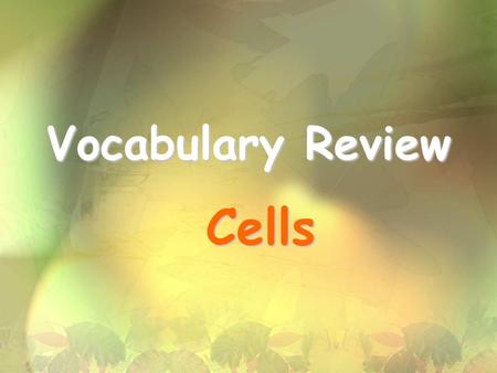 Vocabulary Review Cells.
