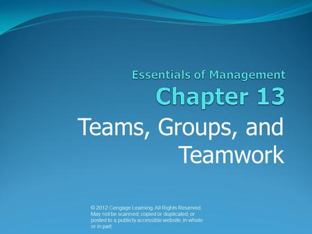 Essentials of Management Chapter 13