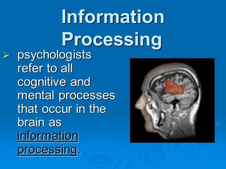Information Processing  psychologists refer to all cognitive and mental processes that occur in the brain as information processing.