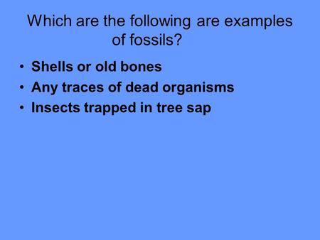 Which are the following are examples of fossils?