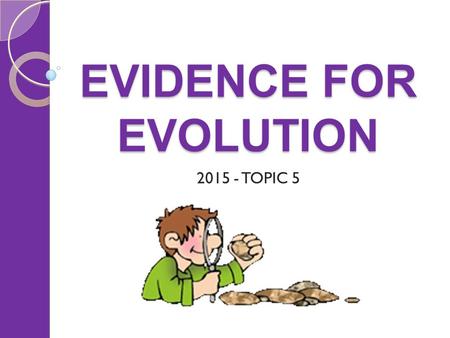 EVIDENCE FOR EVOLUTION 2015 - TOPIC 5. EVOLUTION Things to cover Biogeography The fossil record Comparing molecules Comparing anatomy.