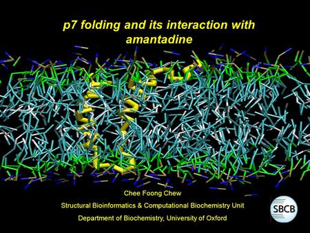 P7 folding and its interaction with amantadine Chee Foong Chew Structural Bioinformatics & Computational Biochemistry Unit Department of Biochemistry,