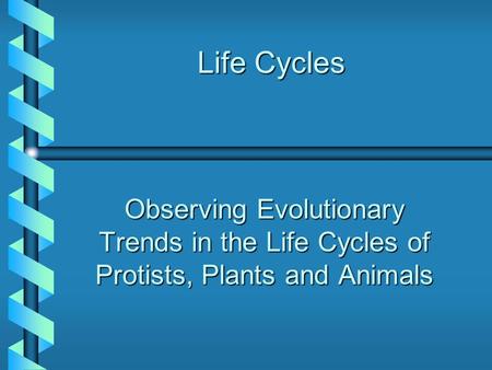 Life Cycles Observing Evolutionary Trends in the Life Cycles of Protists, Plants and Animals.