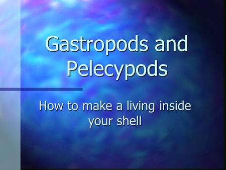 Gastropods and Pelecypods How to make a living inside your shell.