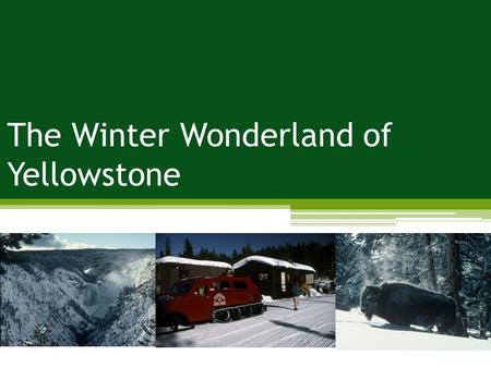 The Winter Wonderland of Yellowstone. Problem: impacts to air; impacts to wildlife; impacts to soundscape Management Strategies: limit use; reduce the.