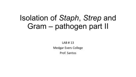 Isolation of Staph, Strep and Gram – pathogen part II LAB # 13 Medgar Evers College Prof. Santos.