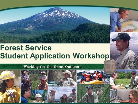 Forest Service Student Application Workshop. Workshop Topics: Understanding the Job Announcement Most Effective Resumes Writing Content Tips Action Verbs.