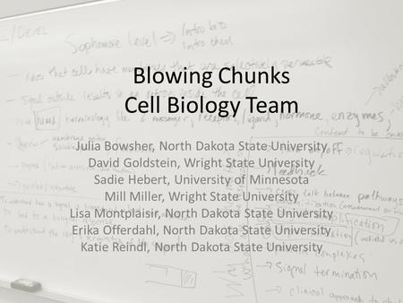Blowing Chunks Cell Biology Team Julia Bowsher, North Dakota State University David Goldstein, Wright State University Sadie Hebert, University of Minnesota.