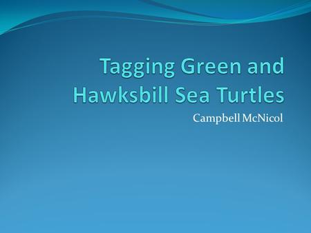 Campbell McNicol. Objectives To inform those who are interested (or those who have to see it anyway) about Hawksbill and Green Sea Turtles Basic turtle.