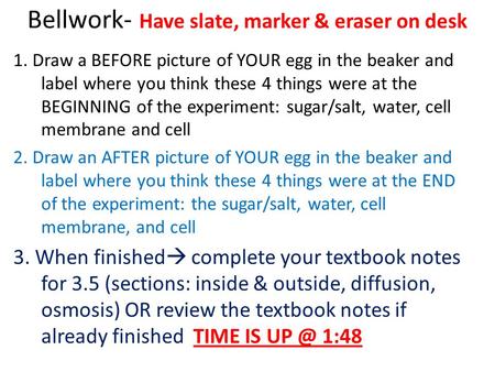 Bellwork- Have slate, marker & eraser on desk 1. Draw a BEFORE picture of YOUR egg in the beaker and label where you think these 4 things were at the BEGINNING.
