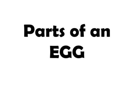 Parts of an EGG.