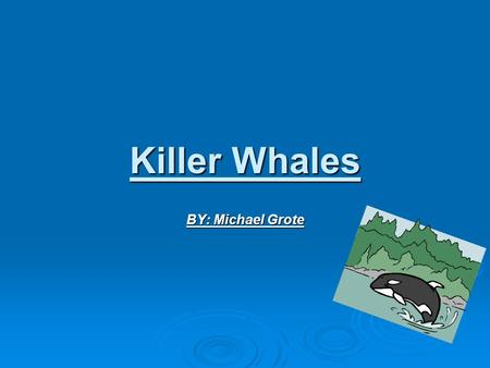 Killer Whales BY: Michael Grote. Introduction Huge predators of the ocean, that’s what killer whales are. All sea animals fear killer whales. They have.