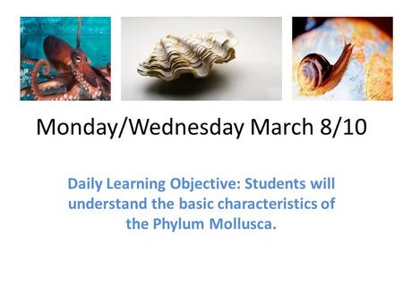 Monday/Wednesday March 8/10 Daily Learning Objective: Students will understand the basic characteristics of the Phylum Mollusca.