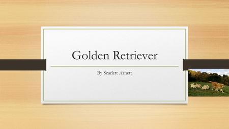 Golden Retriever By Scarlett Arnett.