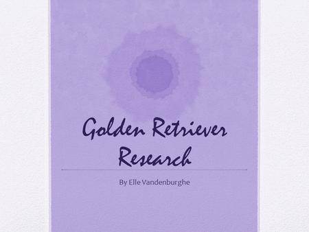 Golden Retriever Research By Elle Vandenburghe. About the Author I am 9 years old. Some of my work include “Singing in the Talent Show”.