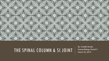 The Spinal Column & SI Joint