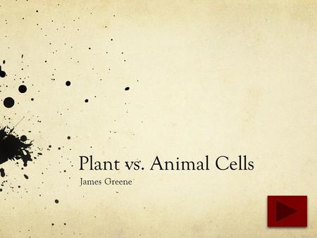 Plant vs. Animal Cells James Greene. Content Area : Science Grade Level : 5 Summary : The purpose of this PowerPoint is to provide students with facts.