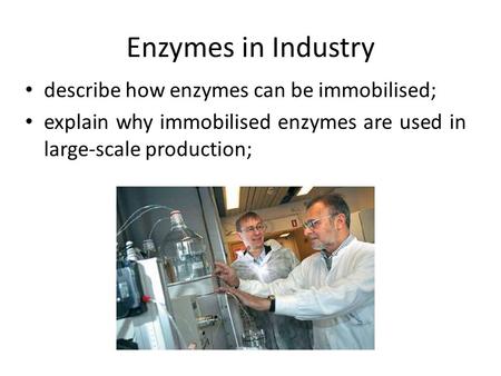 Enzymes in Industry describe how enzymes can be immobilised; explain why immobilised enzymes are used in large-scale production;