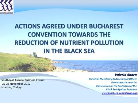 ACTIONS AGREED UNDER BUCHAREST CONVENTION TOWARDS THE REDUCTION OF NUTRIENT POLLUTION IN THE BLACK SEA Valeria Abaza Pollution Monitoring & Assessment.