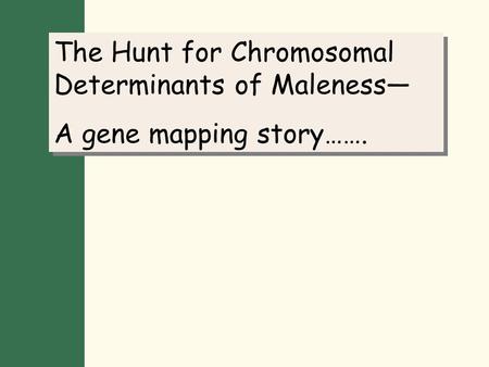 The Hunt for Chromosomal Determinants of Maleness— A gene mapping story……. The Hunt for Chromosomal Determinants of Maleness— A gene mapping story…….