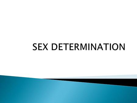 SEX DETERMINATION.