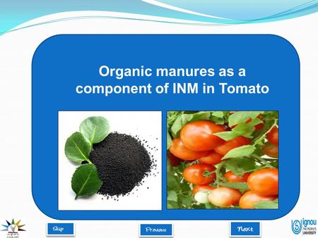 Organic manures as a component of INM in Tomato