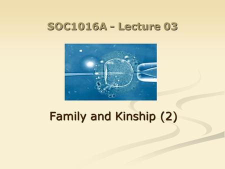 SOC1016A - Lecture 03 Family and Kinship (2). Last week: Kinship as part of a culture Kinship as part of a culture Kinship as a social institution Kinship.