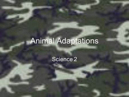 Animal Adaptations Science 2.