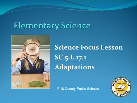 Science Focus Lesson SC.5.L.17.1 Adaptations