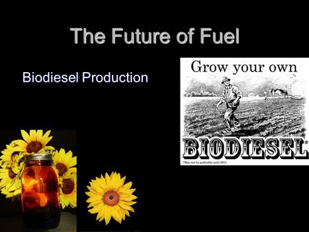The Future of Fuel Biodiesel Production. What is Biodiesel? Biodiesel is a fuel for conventional Diesel engines made from plant or animal oils that have.