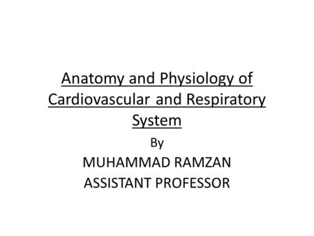 Anatomy and Physiology of Cardiovascular and Respiratory System By MUHAMMAD RAMZAN ASSISTANT PROFESSOR.