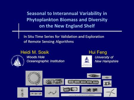 Seasonal to Interannual Variability in Phytoplankton Biomass and Diversity on the New England Shelf Heidi M. Sosik Hui Feng In Situ Time Series for Validation.