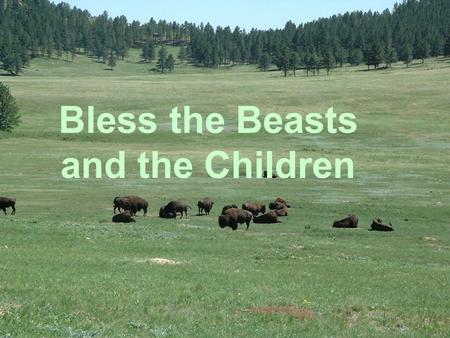 Bless the Beasts and the Children