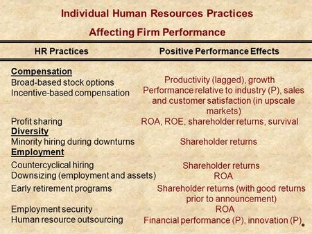 Individual Human Resources Practices Affecting Firm Performance Compensation Broad-based stock options Incentive-based compensation Profit sharing Diversity.