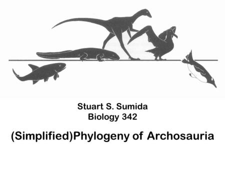 Stuart S. Sumida Biology 342 (Simplified)Phylogeny of Archosauria.
