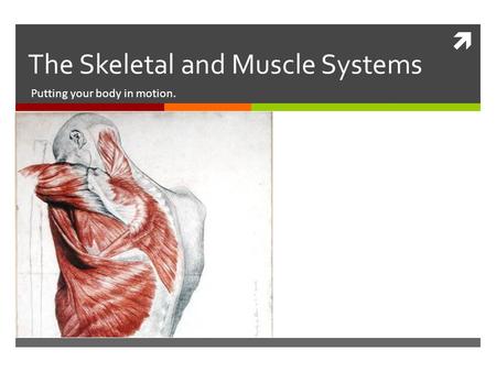  The Skeletal and Muscle Systems Putting your body in motion.