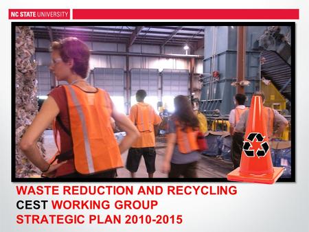 WASTE REDUCTION AND RECYCLING CEST WORKING GROUP STRATEGIC PLAN 2010-2015.
