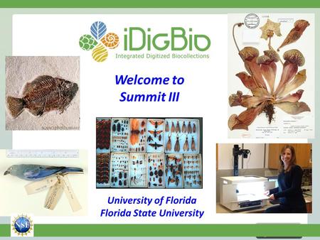 NSF EF-1115210 Welcome to Summit III University of Florida Florida State University.
