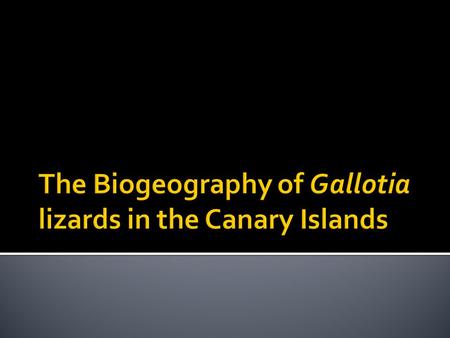 The Biogeography of Gallotia lizards in the Canary Islands