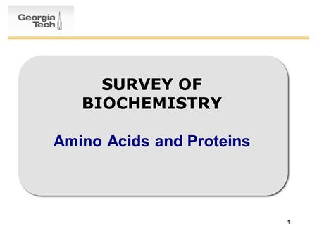 1 SURVEY OF BIOCHEMISTRY Amino Acids and Proteins.