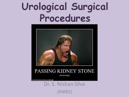 Urological Surgical Procedures