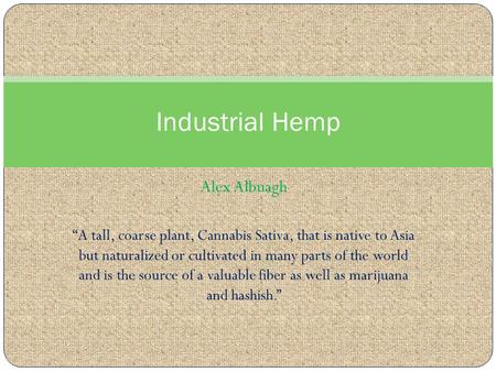 Alex Albuagh Industrial Hemp “A tall, coarse plant, Cannabis Sativa, that is native to Asia but naturalized or cultivated in many parts of the world and.